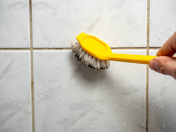 Best Office Mold Removal Services  in Mountain City, GA