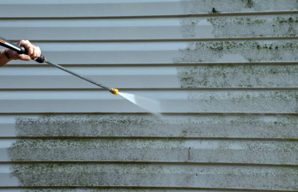 Best Commercial Mold Removal  in Mountain City, GA